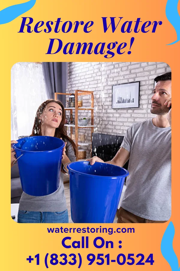 water restoration Elite Damage Recovery Contractors New Munster